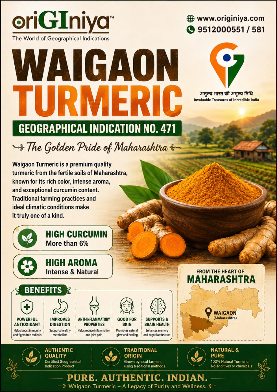 Waigaon Turmeric